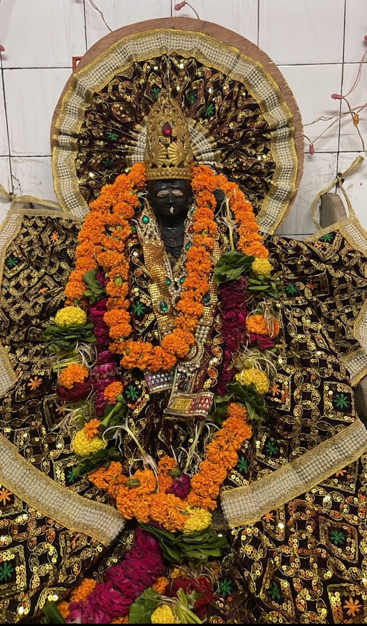 गंजपारा स्थित प्राचीन शनि देव मंदिर में शनि जन्मोत्सव का आयोजन