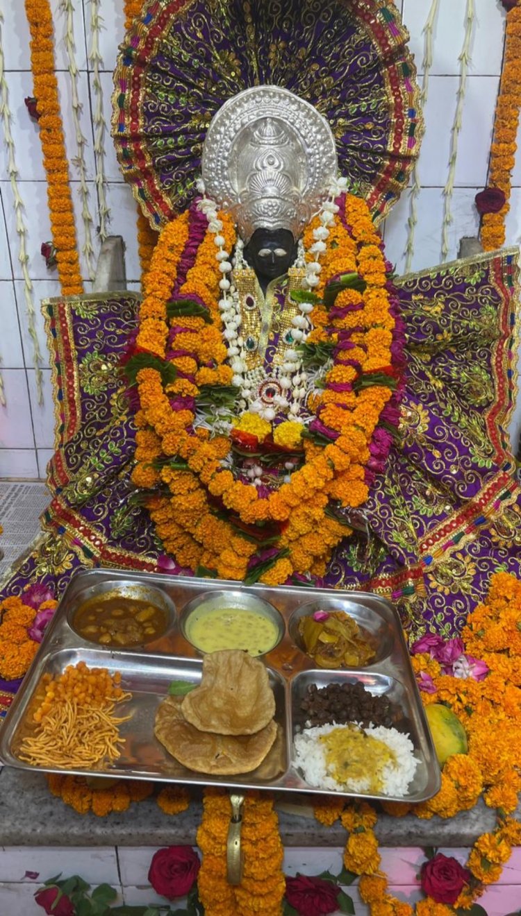 शनि जन्मोत्सव पर प्राचीन शनि मंदिर गंजपारा में हुआ भव्य आयोजन