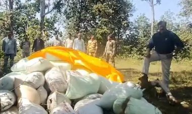 हीरो स्टाईल में SDM ने धान के अवैध परिवहन पर फेरा पानी, इतना ही नहीं डायलॉग भी मारा