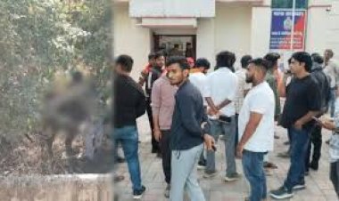 गौवंश से युवक ने किया अमानवीय कृत्य, वीडियो वायरल होने के बाद हिंदू संगठनों में आक्रोश