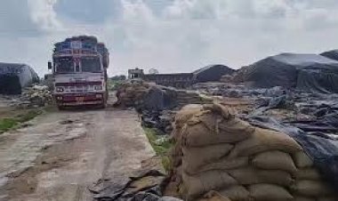 कवर्धा में 7 करोड़ का धान गायब: अफसर बोले चूहे-दीमक खा गए, जांच में फर्जी बिल और CCTV छेड़छाड़ उजागर