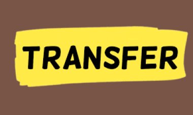 PHE विभाग में बड़ा प्रशासनिक फेरबदल: 34 अधिकारियों की बदली जिम्मेदारी, 26 अभियंता पदोन्नत, मुख्य अभियंता सस्पेंड
