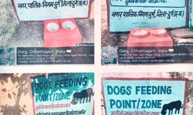 सुप्रीम कोर्ट के आदेश पर नगर निगम दुर्ग ने बनाए डॉग फीडिंग ज़ोन