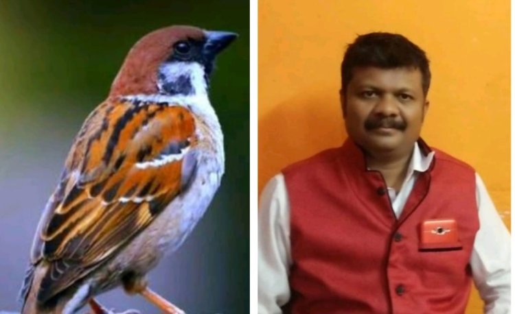 राष्ट्रीय पक्षी दिवस विशेष 05 जनवरी: राष्ट्रीय पक्षी दिवस पर पक्षियों के संरक्षण और अधिकारों को लेकर जागरूकता का संदेश