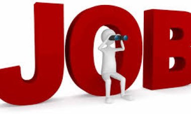 इंडियन पोस्ट, रेलवे, बैंक, RSSB, UPSC समेत अन्य विभागों में 70 हजार+ पदों पर हो रही भर्ती, जानें कब तक कर सकते हैं अप्लाई