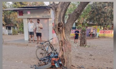 भिलाई टाउनशिप में तेज रफ्तार बाइक पेड़ से टकराई, दो युवक गंभीर घायल