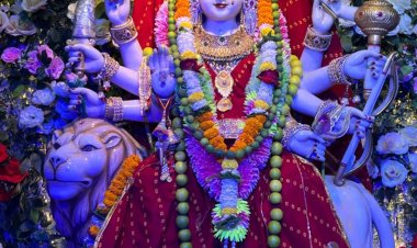 ज्योति कलश विसर्जन एवं माता जी को 56 भोग लगाकर किया गया चैत्र नवरात्र पर्व एवं वार्षिकोत्सव का समापन 