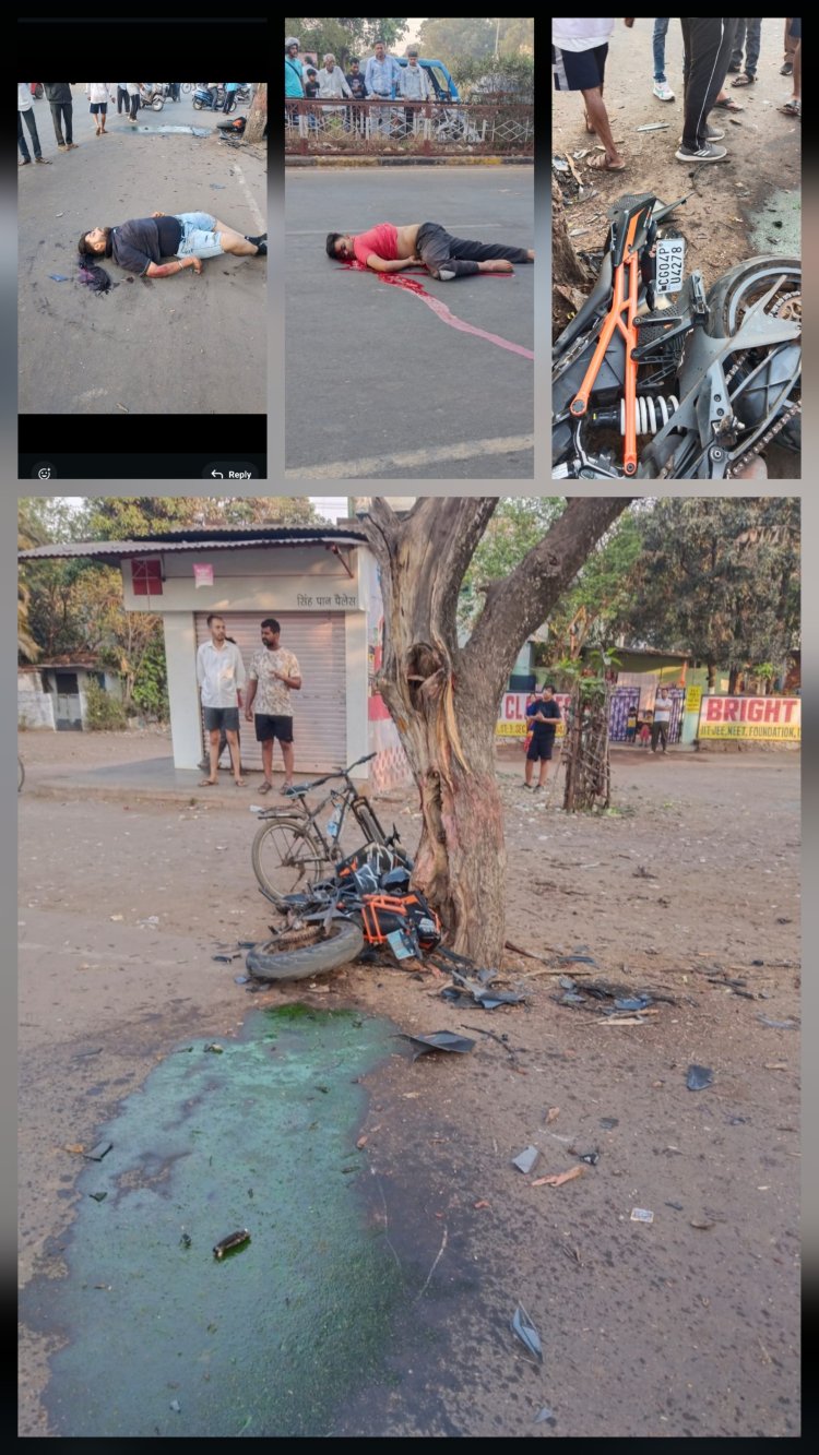 भिलाई टाउनशिप में तेज रफ्तार बाइक पेड़ से टकराई, दो युवक गंभीर घायल