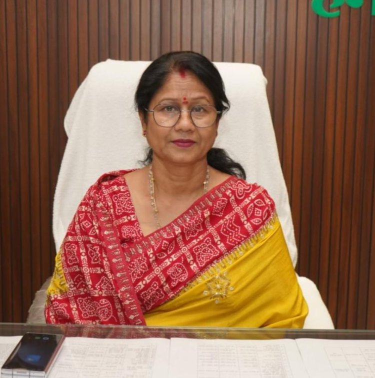 दुर्ग शहर के विकास को मिली रफ्तार, सड़क चौड़ीकरण के दो बड़े प्रोजेक्ट मंजूर: महापौर अलका बाघमार