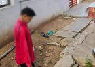 मंदिर परिसर में फंदे पर लटकी मिली भाजपा नेता व पूर्व उपसरपंच की लाश, इलाके में सनसनी