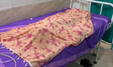 कोरबा में आवारा कुत्तों का कहर, 5 साल के बच्चे की मौत के बाद कार्रवाई की मांग