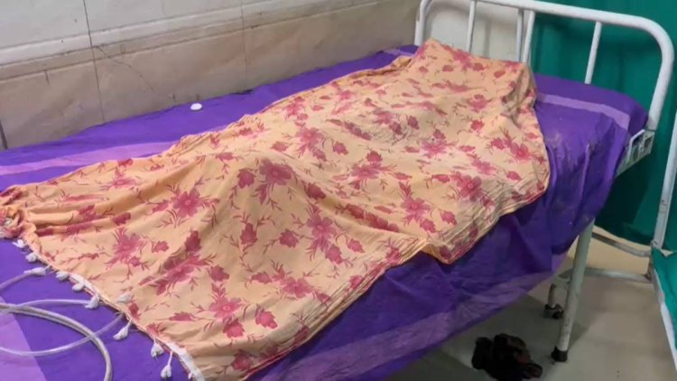 कोरबा में आवारा कुत्तों का कहर, 5 साल के बच्चे की मौत के बाद कार्रवाई की मांग