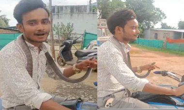 गले में सांप डालकर बाइक से अस्पताल पहुंचा युवक, कांकेर में वायरल हुआ हैरान करने वाला वीडियो