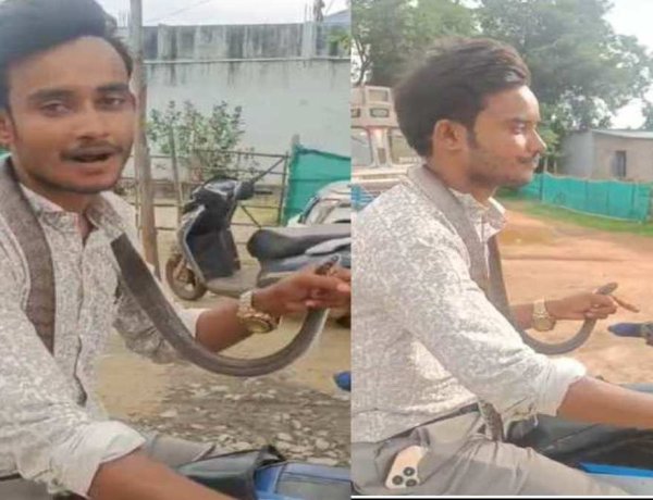 गले में सांप डालकर बाइक से अस्पताल पहुंचा युवक, कांकेर में वायरल हुआ हैरान करने वाला वीडियो