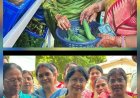 सेवा संकल्प अभियान के तहत दुर्ग निगम की अभिनव पहल, मेयर अलका बाघमार ने शुरू की ‘सब्जी की टोकरी’