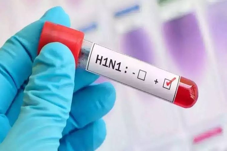 स्वाइन फ्लू ने बढ़ाई चिंता: छत्तीसगढ़ में 26 नए मरीज मिले, कुल संक्रमितों की संख्या 205 पहुंची