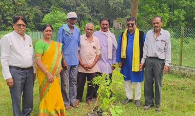 अष्टमी पर सलूट तिरंगा संगठन ने वंदे मातरम उद्यान में लगाए देव वृक्ष समाजसेवी एवं अधिवक्ता विभा मिश्रा के जन्मदिवस पर पारिजात, बेल, आंवला, पीपल और नीम के पौधों का रोपण