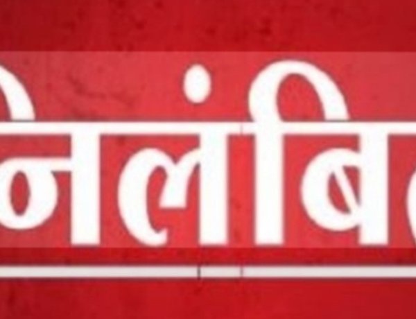 महासमुंद में पांच पटवारियों पर गिरी गाज, फसल सर्वे में लापरवाही और जमीन रिकॉर्ड में गड़बड़ी पर कार्रवाई