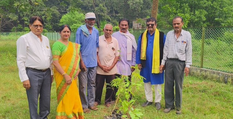 अष्टमी पर सलूट तिरंगा संगठन ने वंदे मातरम उद्यान में लगाए देव वृक्ष समाजसेवी एवं अधिवक्ता विभा मिश्रा के जन्मदिवस पर पारिजात, बेल, आंवला, पीपल और नीम के पौधों का रोपण
